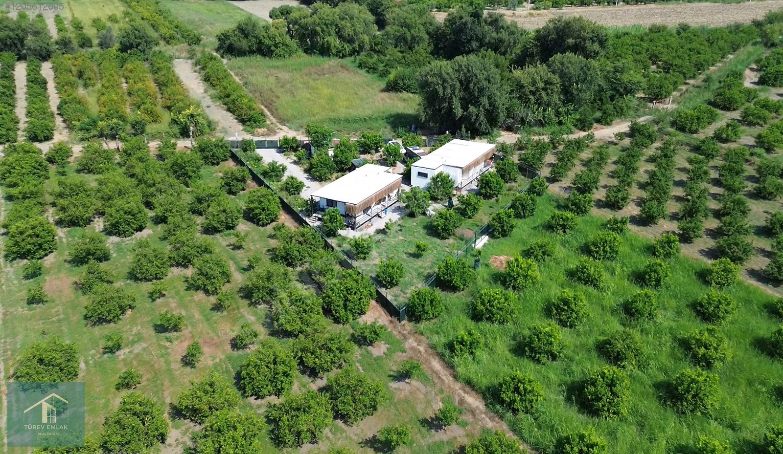 Türev Emlaktan Ortacada Satılık Ev ve Limon Bahçesi