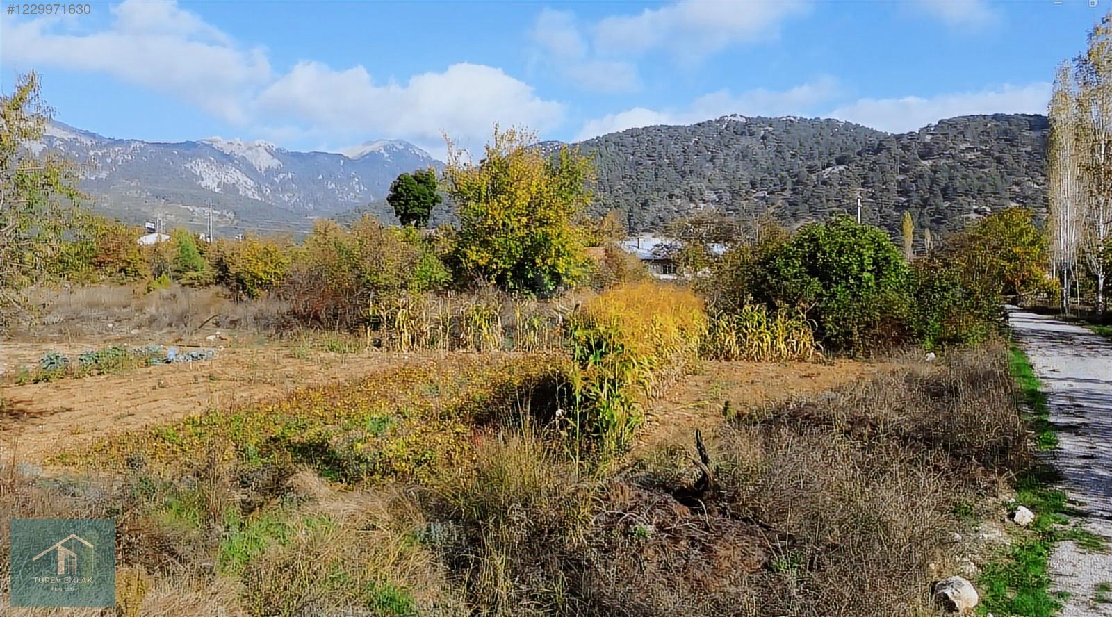 Türev Emlaktan Fethiye Nifte Acil Satılık İmarlı Arazi