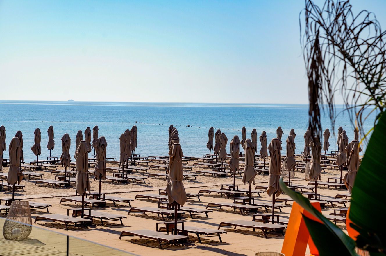 Mavinin Mükemmel Tonlarında Bir Yaşam