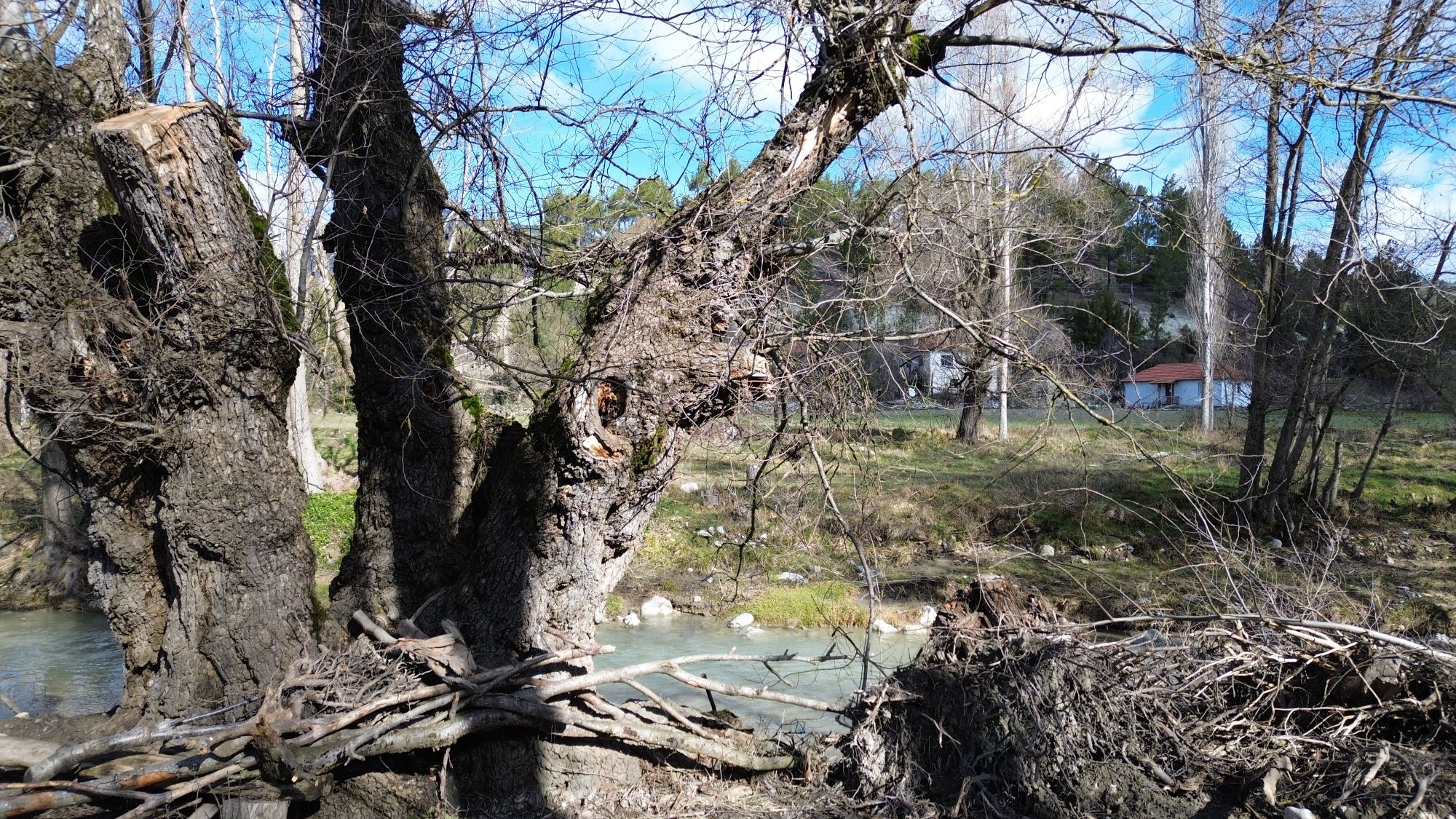 Denizli Çameli Kirazlıyaylada Fethiyeye 45dk mesafede arazi ve ev
