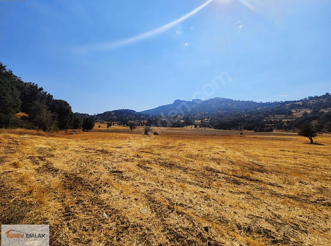 Denizli Çamelinde Fethiyeye 45dk Mesafede Ev ve Arazi