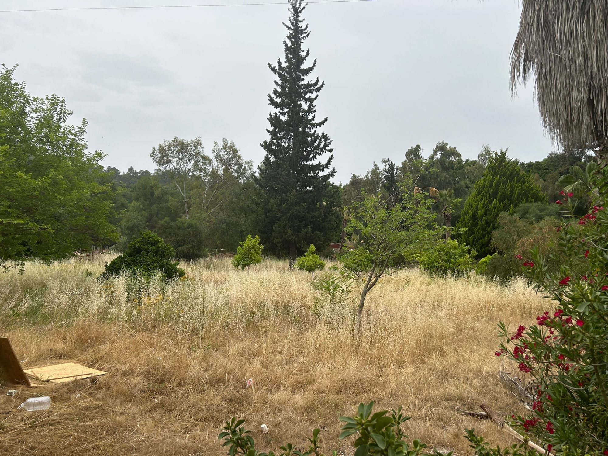 MUĞLA FETHİYE GÜNLÜKLÜ KOYUNDA SATILIK ARAZİ