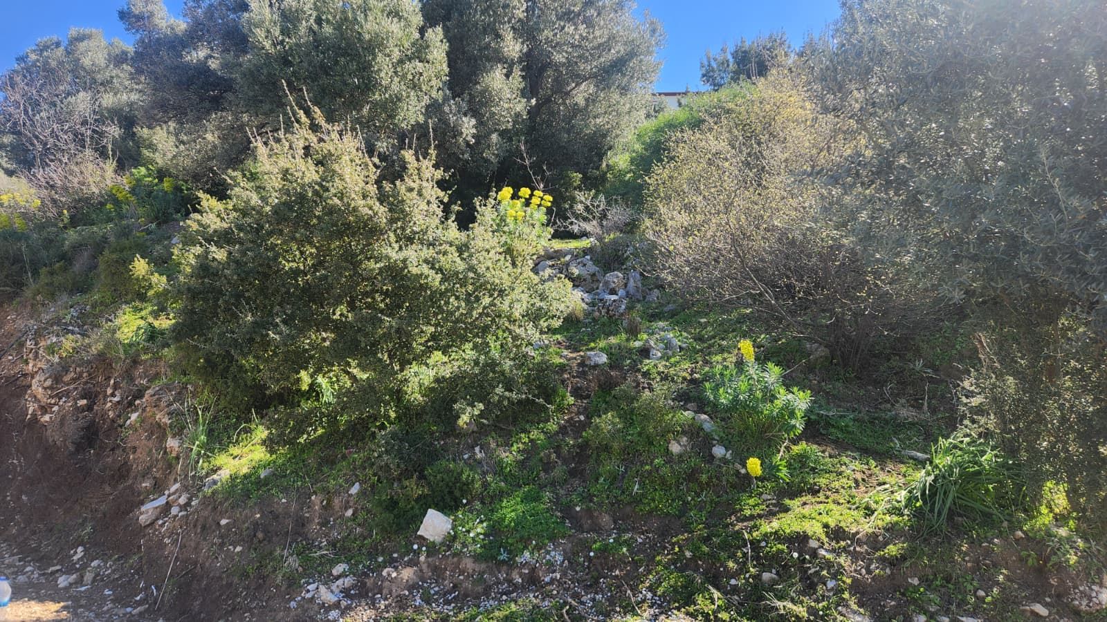 MUĞLA FETHİYE KİRME MAHALLESİNDE FUL DENİZ MANZARALI İMARLI ARAZİ